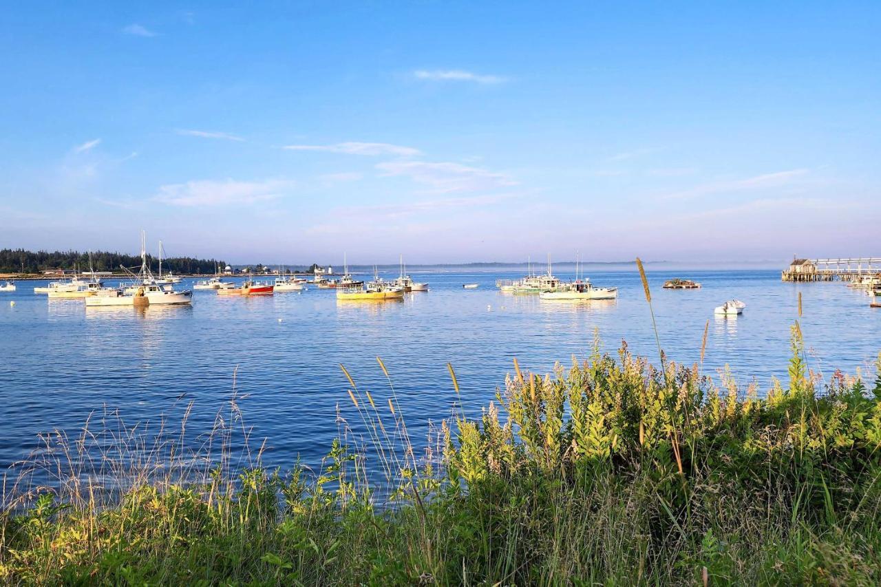 Hidden Gem Cottage Near Blue Hill Peninsula Brooklin Экстерьер фото