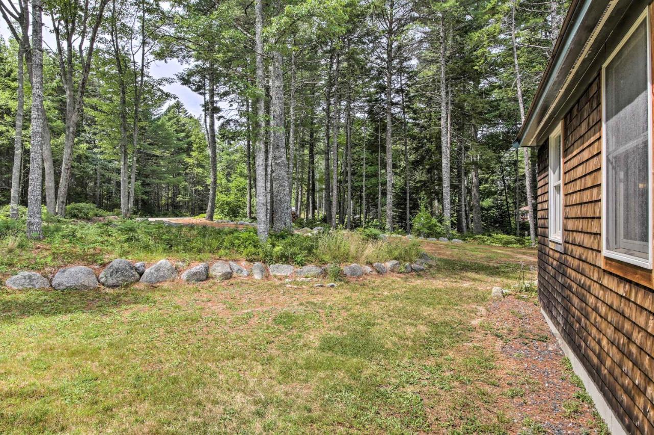 Hidden Gem Cottage Near Blue Hill Peninsula Brooklin Экстерьер фото