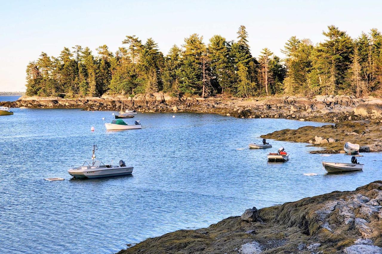 Hidden Gem Cottage Near Blue Hill Peninsula Brooklin Экстерьер фото