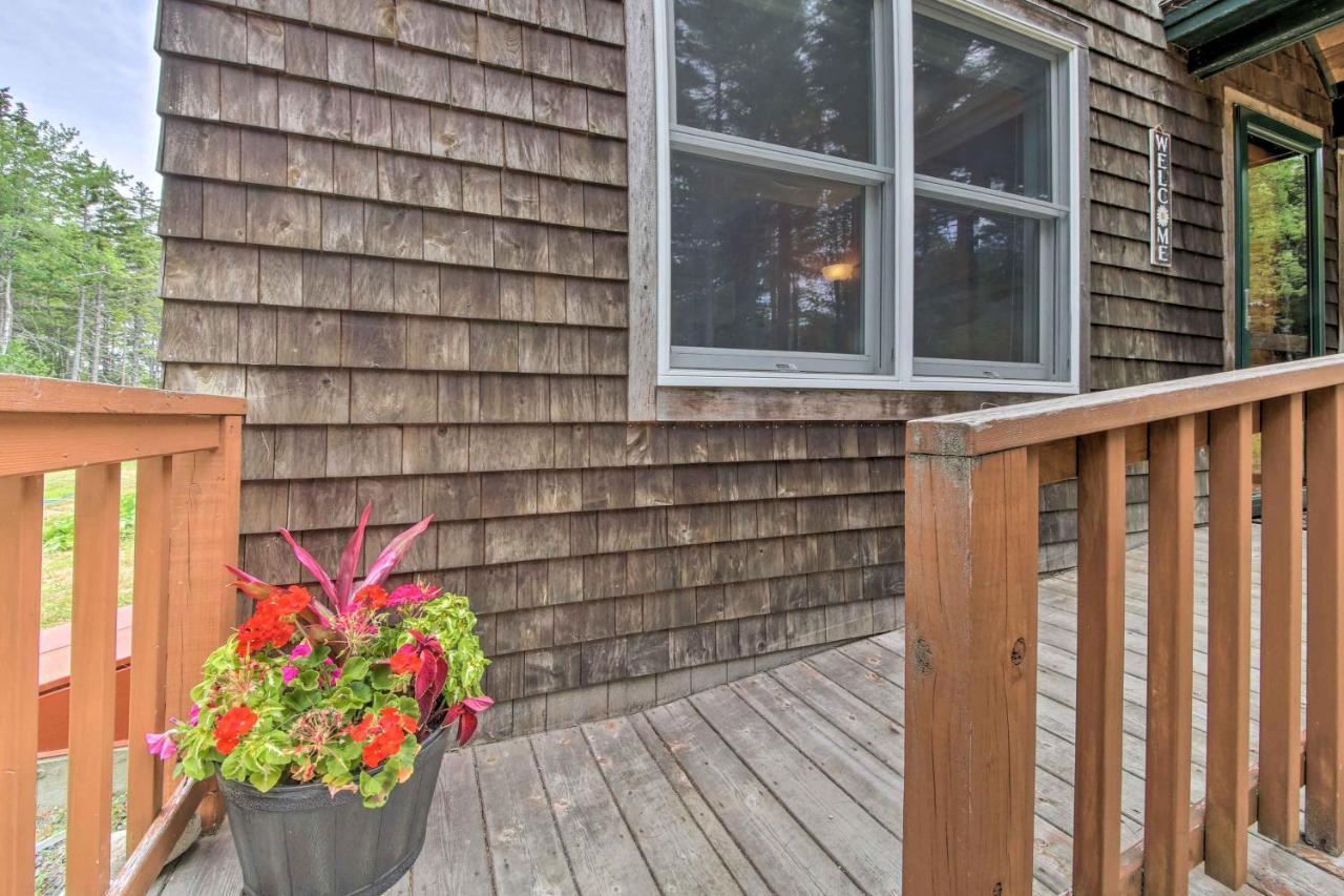Hidden Gem Cottage Near Blue Hill Peninsula Brooklin Экстерьер фото